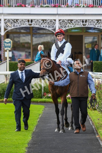 280723-Race 3-Loose Cannon-0314 - Race 3 6.05pm Ire-Incentive, It Pays To Buy Irish EBF Restricted Novice Stakes