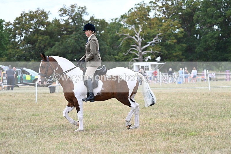 WJ7_4982 - Class 12 Ridden Cob