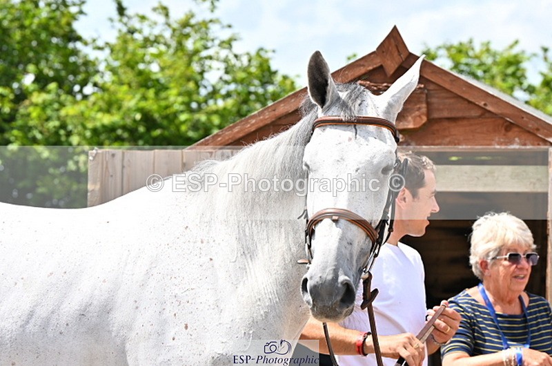 240718A-105310-01652 - Trot Up 1pm to 2pm