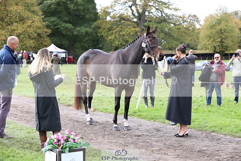 251026A-121136-25941 - G-562-Phoebe.Lagor