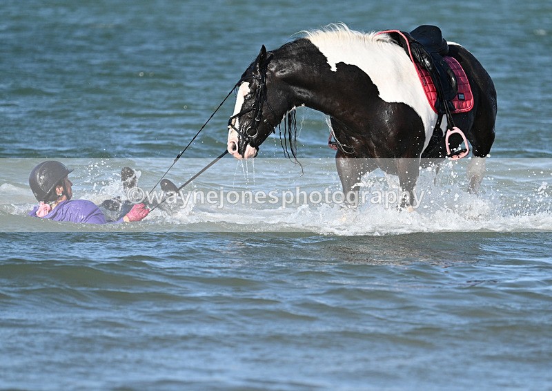 WJ7_3555 - Kellie & Churchill ... do Hayling Island 25-08-24