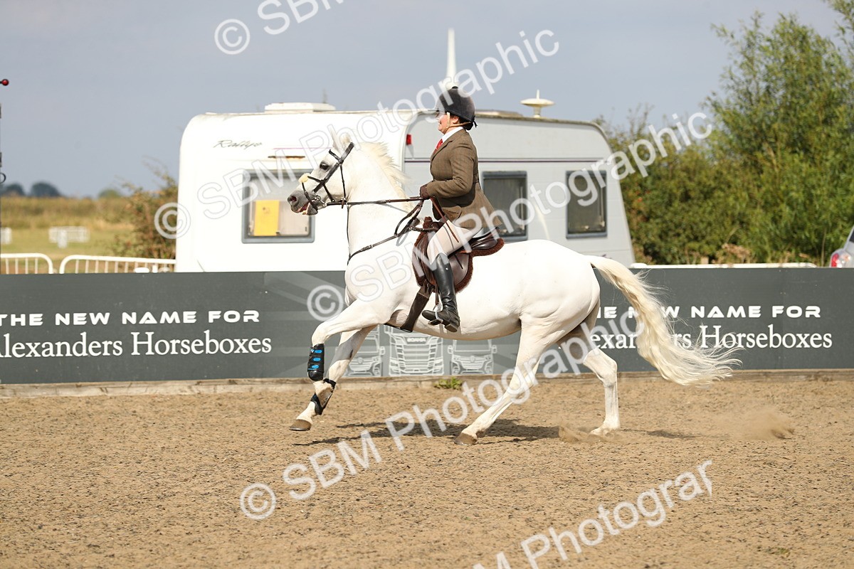 SBM_06801 - Class 49a Style & Performance 80cm (15-19)