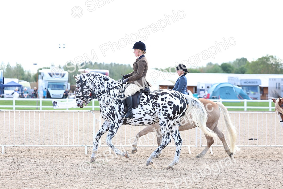 SBM_17168 - Class 315 - Best Horse - Rider Combination