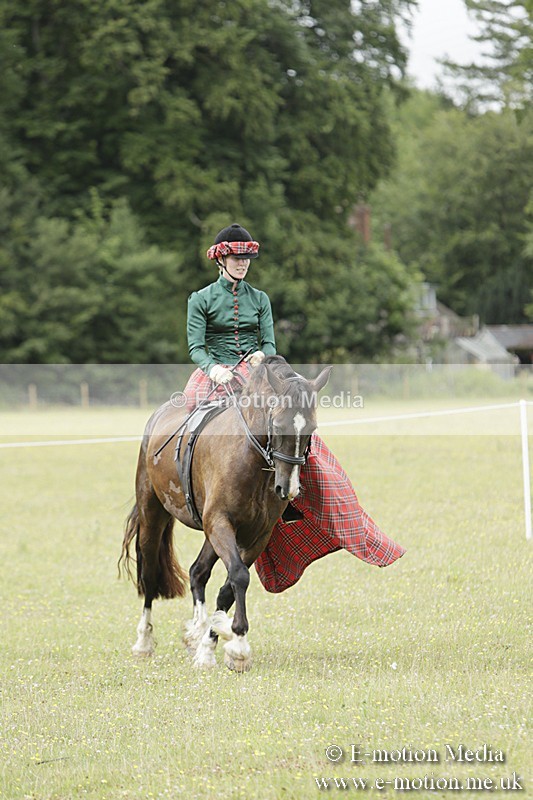 BVR160717-2452 - Side Saddle Classes 16/07/17