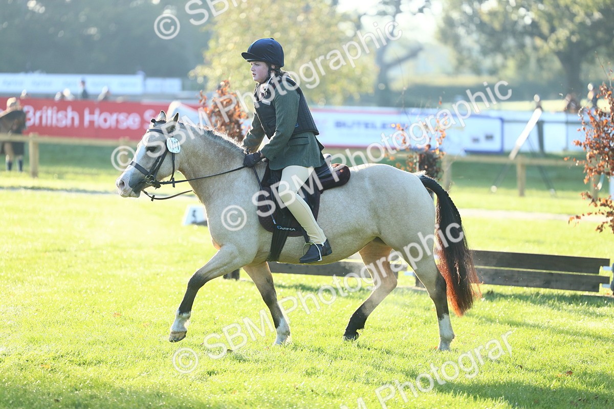 SBM_31863 - S28 - Nursery Stakes Working Hunter Pony