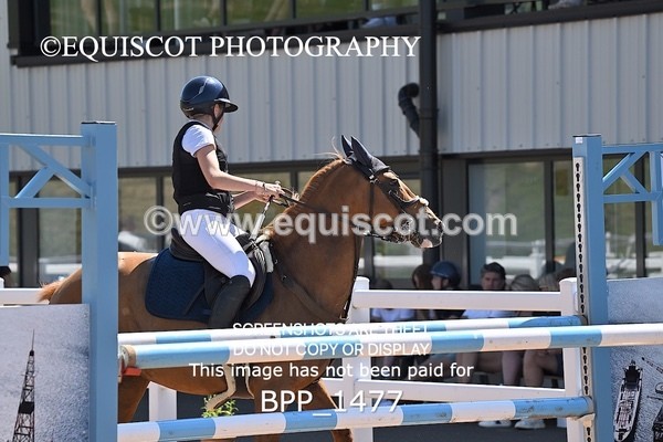 BPP_1477 - THU CLASS 2 Junior 1.15m Open/Inc Pony 1.15m Members Cup **Viewing/Selection class for 148 Debut tea