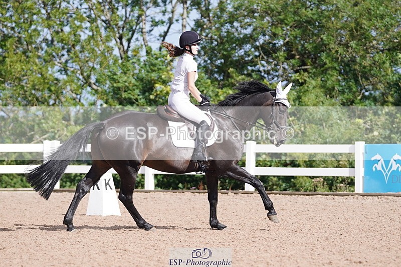240809A-092714-00239 - Dressage Competition
