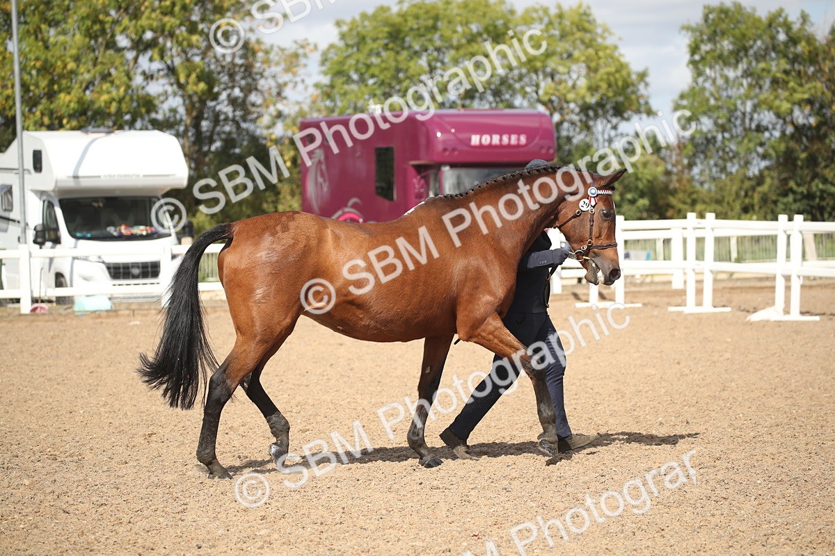 SBM_23404 - Class 604 - 2026 - Area IH Diamond