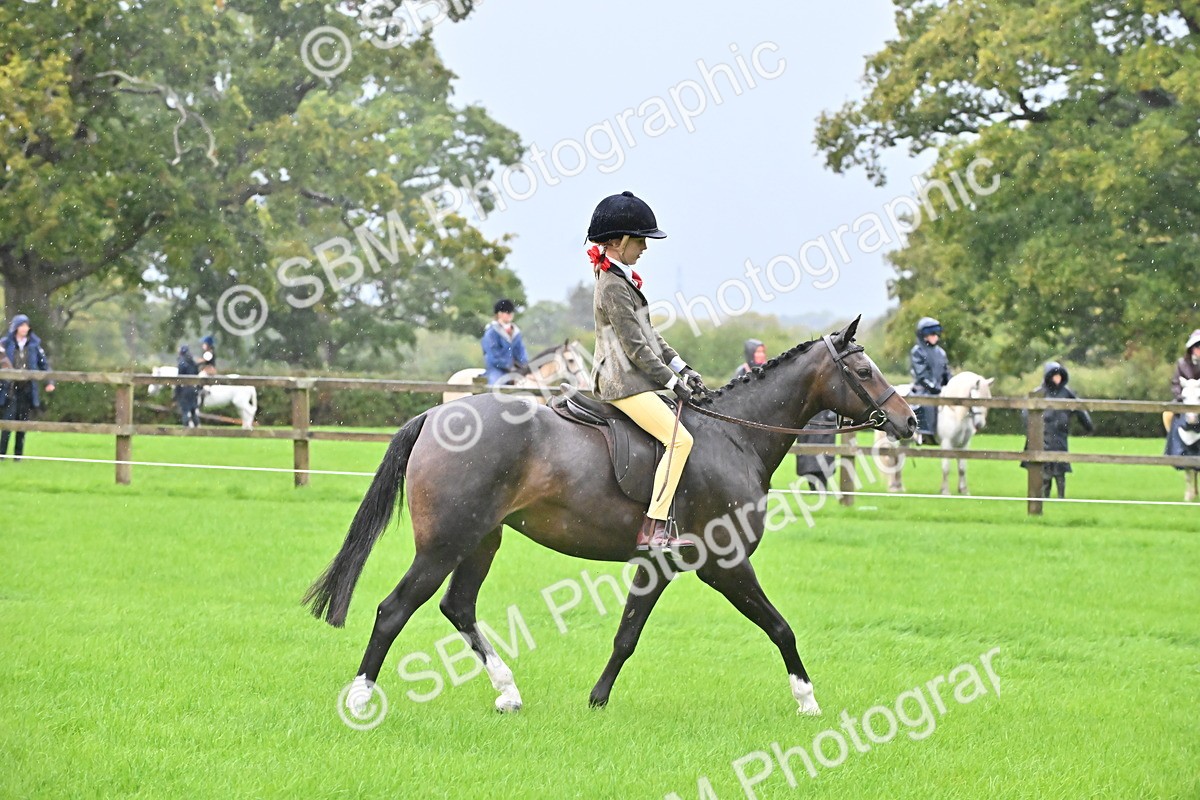 SBM_35715 - S16 - Top Turnout - Ridden