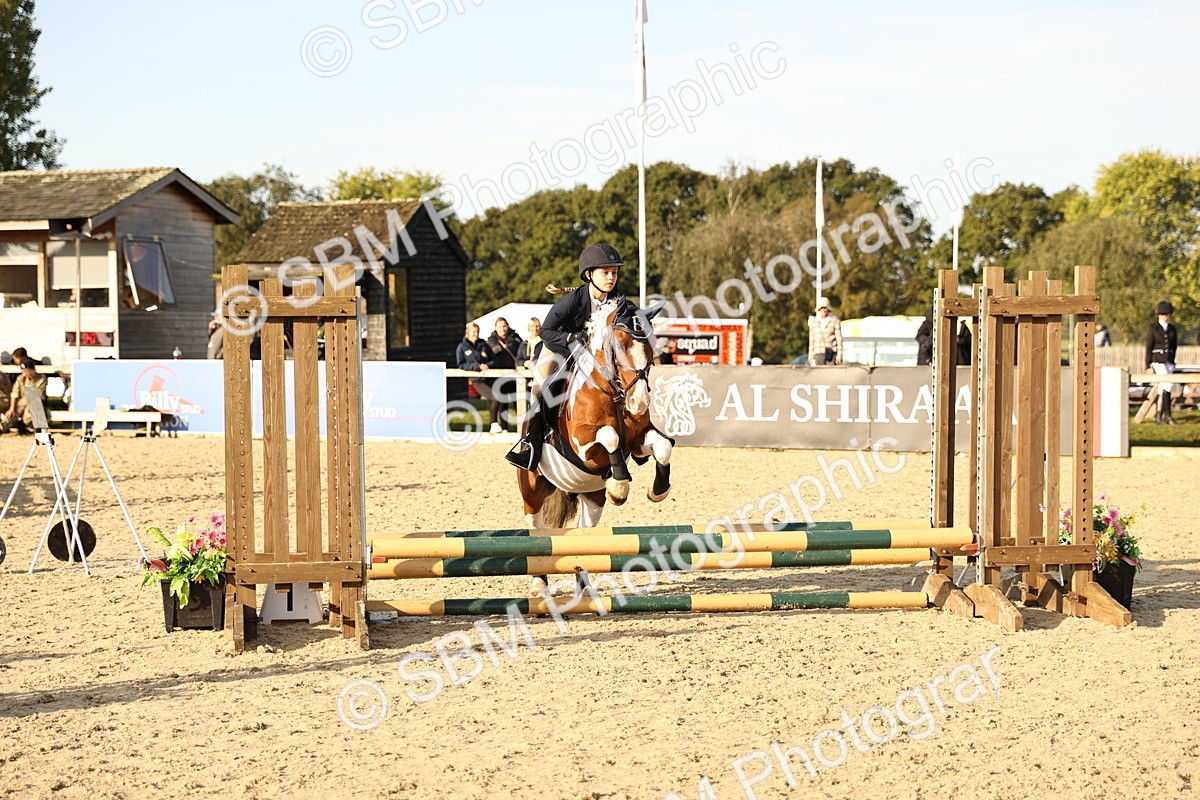 SBM_59462 - J11 - Junior Pony 50cm Championship
