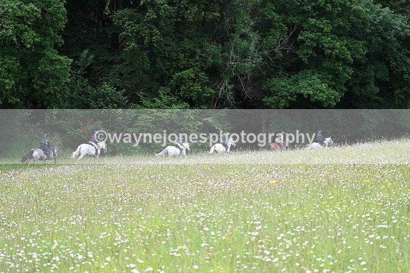 WJ7_8655 - Group 2 10:15am
