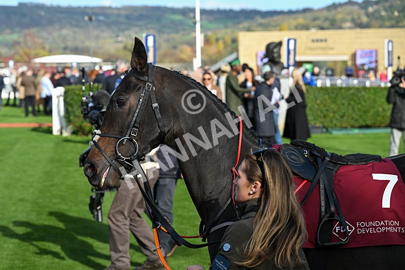 241025-Race 3-Torquay Road-2920 - Race 3
