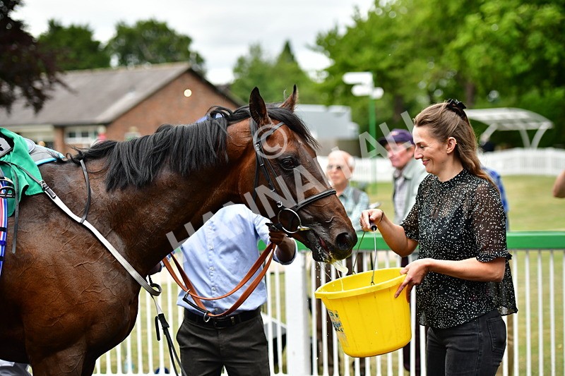 170625-Race 5-Blue RC-4042 - Race 5