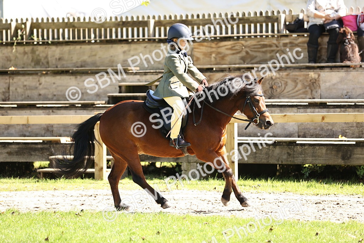 SBM_19345 - S3 - TSR Ridden Pony Showing