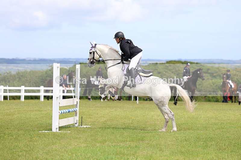 3E7A7442 - Class 13: Senior British Novice/90cm open