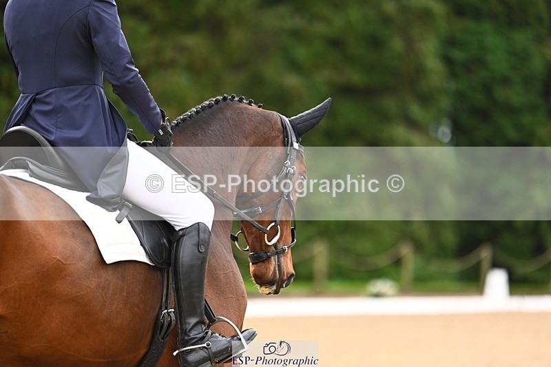 231021-095559-12633 - 228-CHEVALIAN.DUCATI-Hannah.Hobhouse-DR