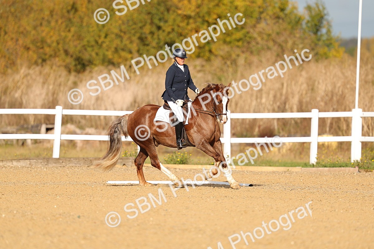 SBM_009288 - Class 1 - P4