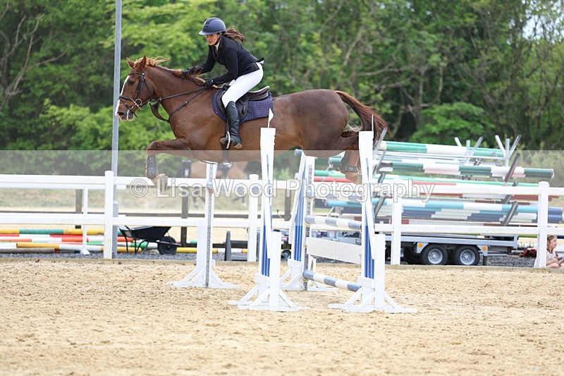 3E7A7490 - Class 8: Senior Foxhunter/1.20 open