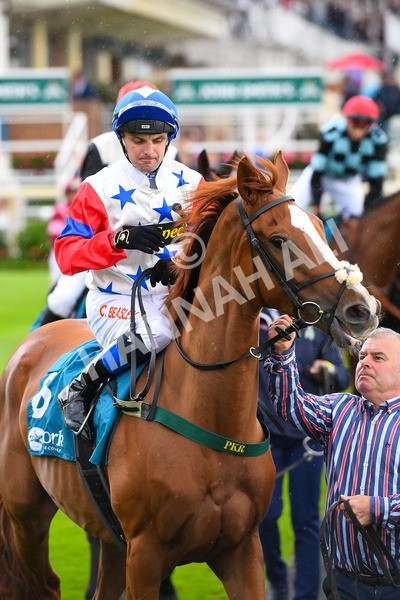 150723-Race 6-Robert Johnson-0594 - Race 6 4.55pm John Smith's Stayers' Handicap