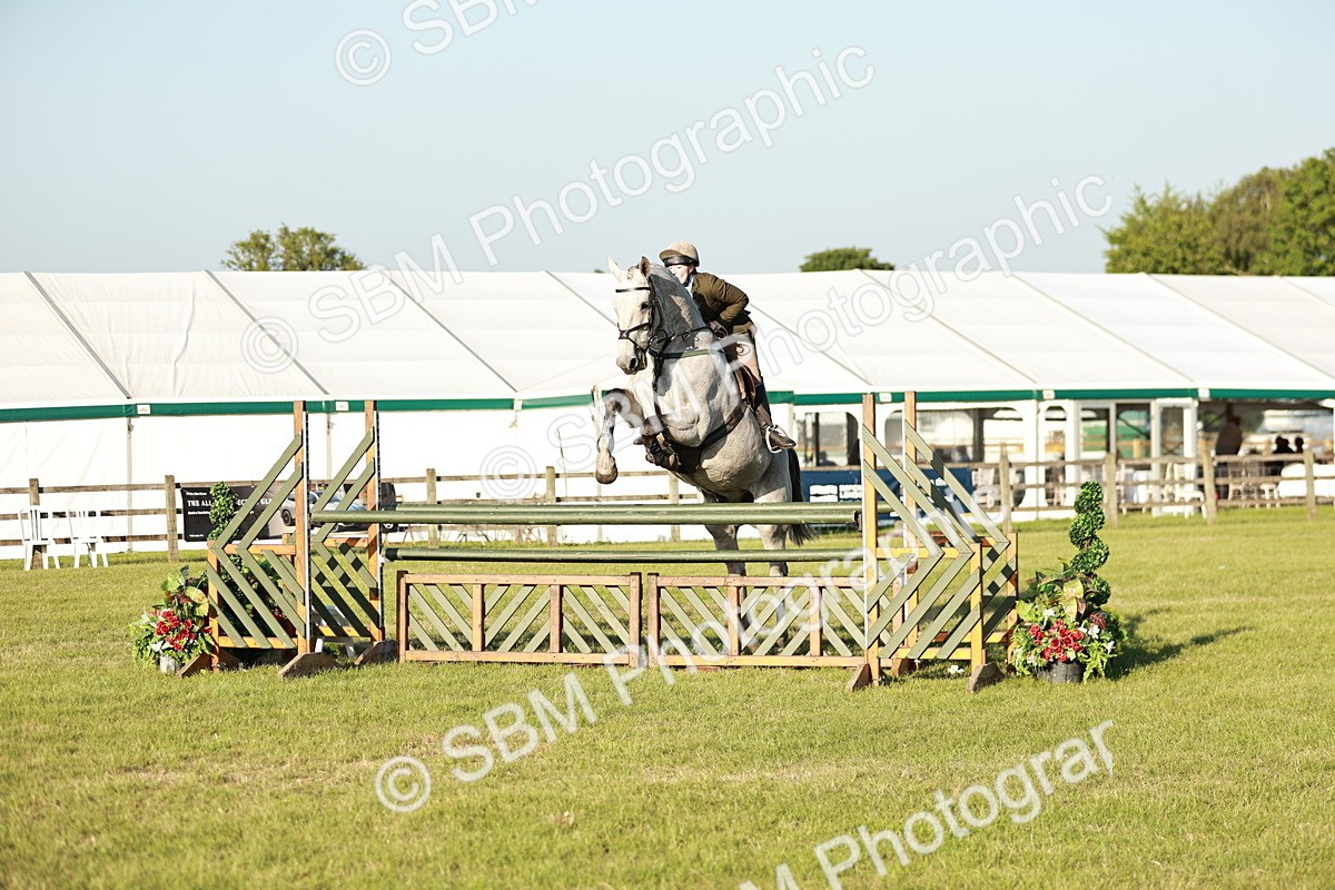 SBM_20418 - Class 117-119 - Sport Horse Working Hunter