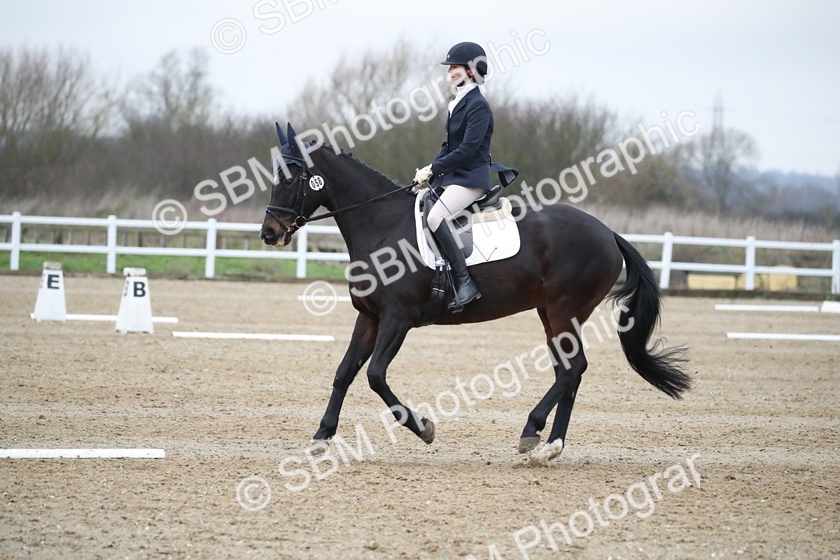 SBM_004920 - Novice 3