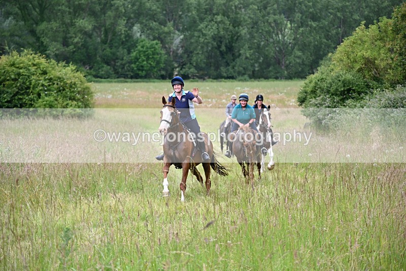 WJ6_8178 - Camera 1 Gallops