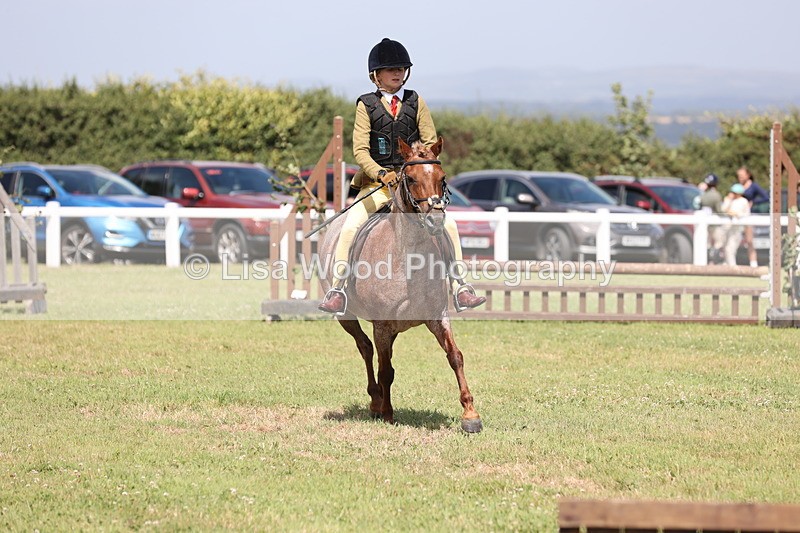 JPP_2124 - Class 19: Working Hunter 60cm