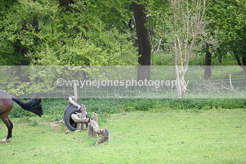 WJ6_3323 - A camera