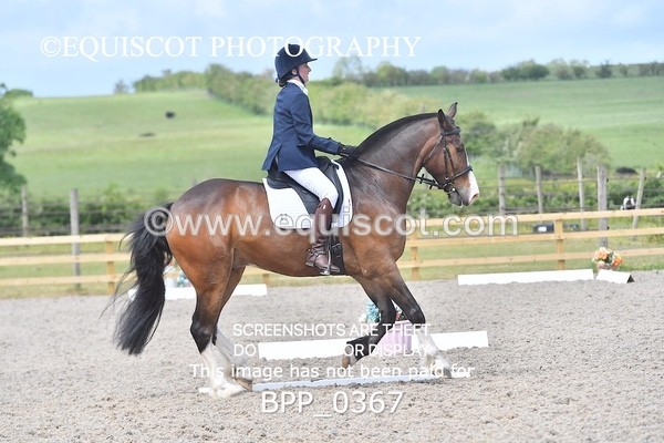 BPP_0367 - NOVICE 6