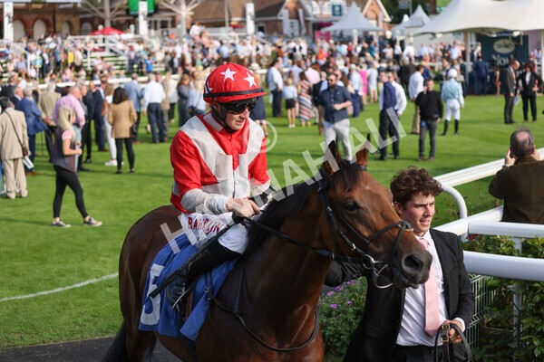 yr05092021r5-5 - Race 5 4.20pm Little Green Rascals Children's Nurseries Stakes