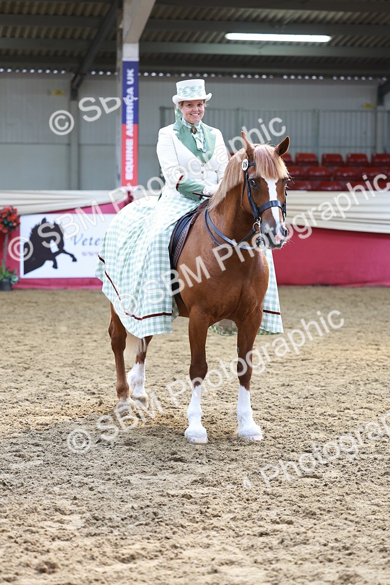 SBM_13792 - Class 106 - Ridden Costume -Astride Adult (15-19)