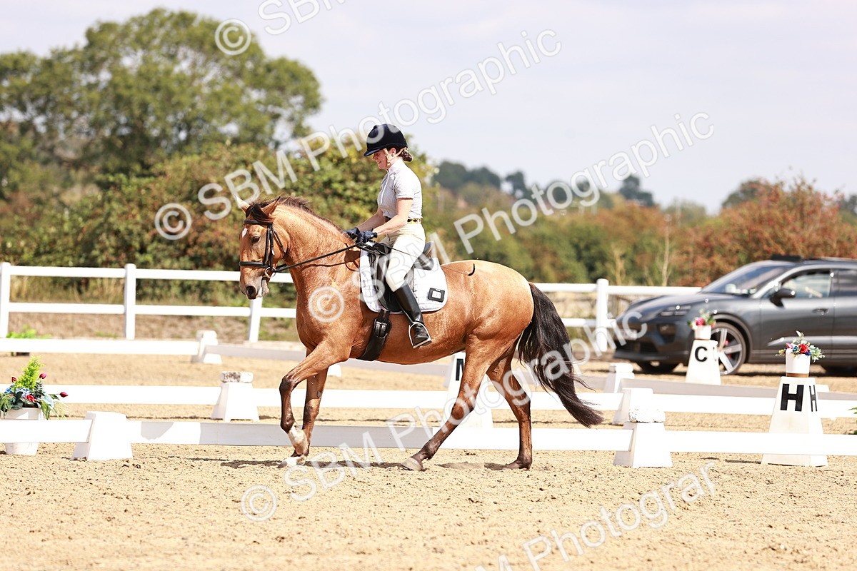 SBM_018564 - Class 17 - Novice 6