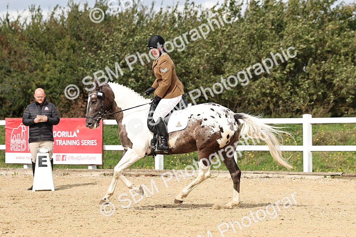 SBM_004798 - Class 70 - Elementary 2