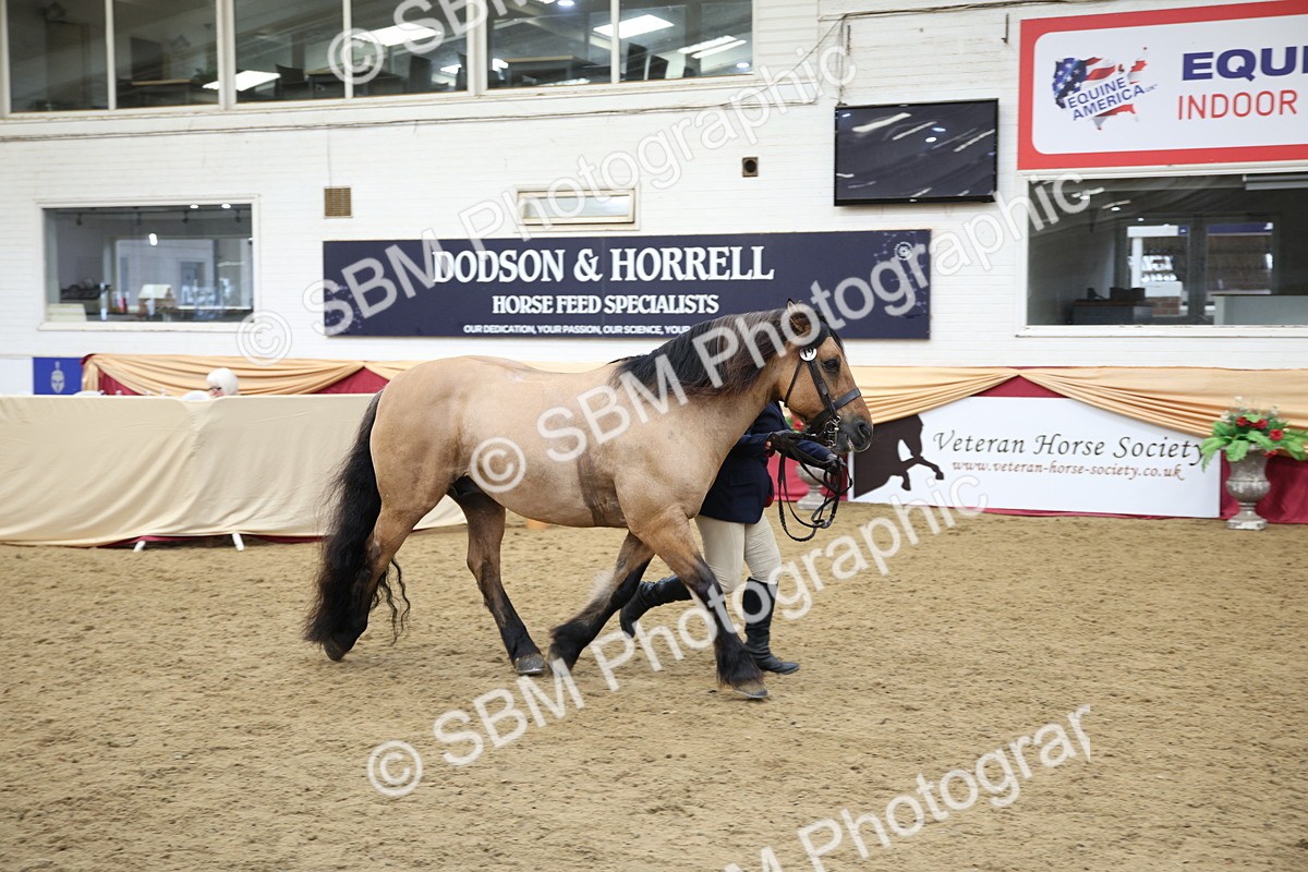 SBM_24727 - Class 906 - Supreme Final - Ridden Pre Vet