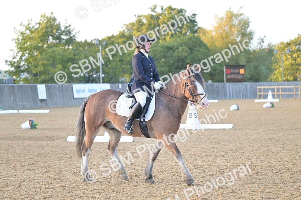 SBM_13541 - D3 - Small Tour Championship Intro 3