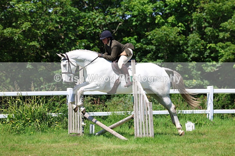 3E7A7479 - Class 31: Working Hunter Cob/Riding Horse