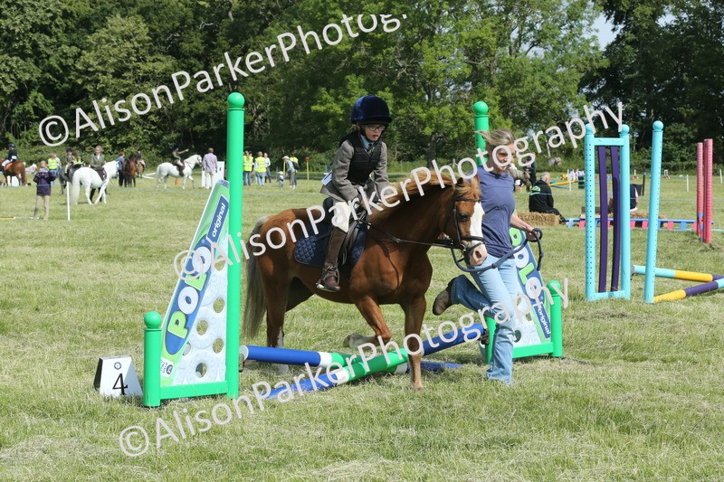 20260614-0277 - Class 1 - 30cm Lead Rein