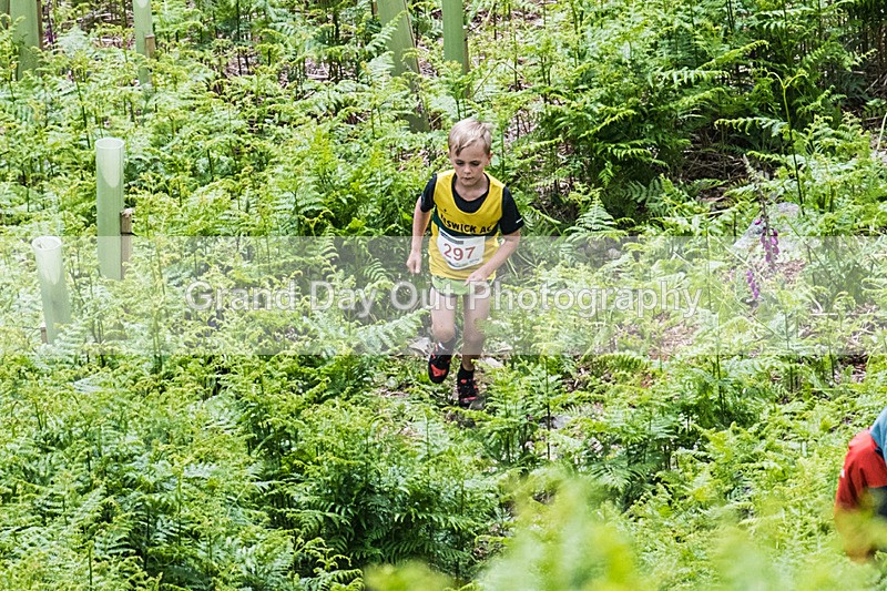 Coniston Juniors-7 - Coniston Gullies Junior Fell Races Sunday 25th May 2025
