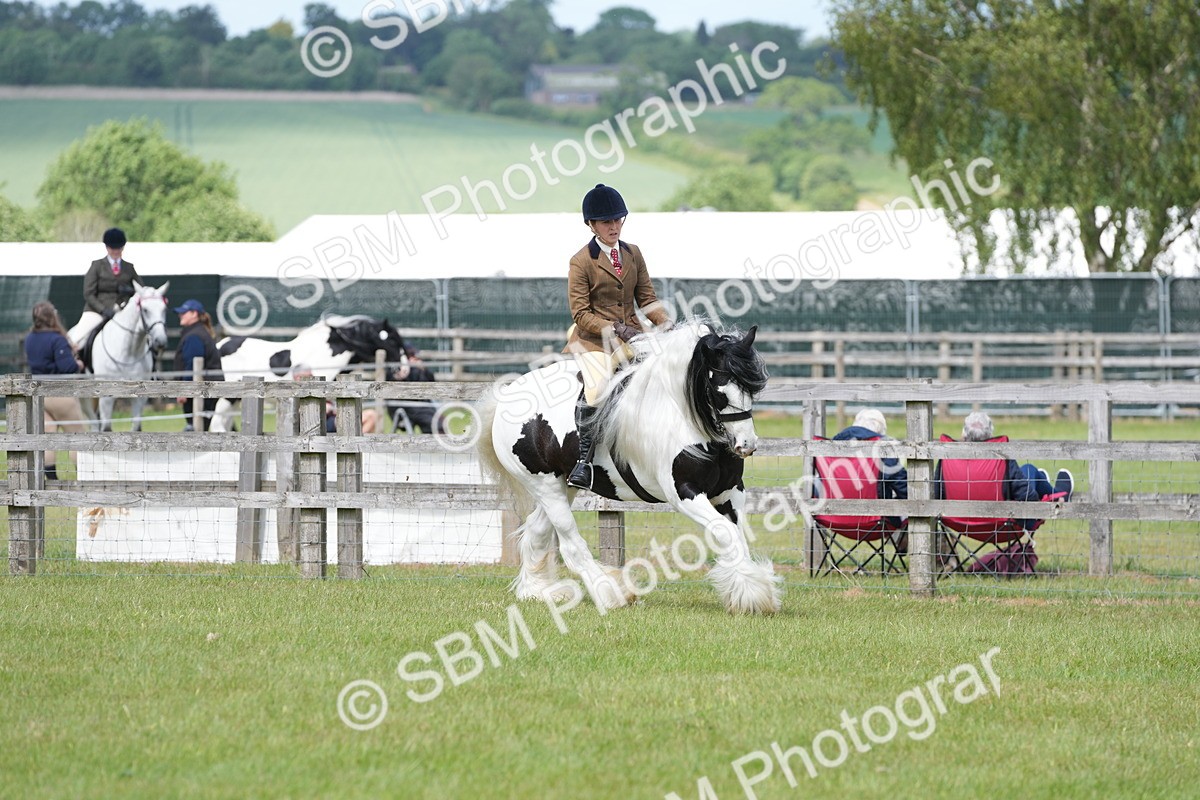 SBM_17242 - Class 107-108 - LIHS BSPS Performance Coloured Horse Pony