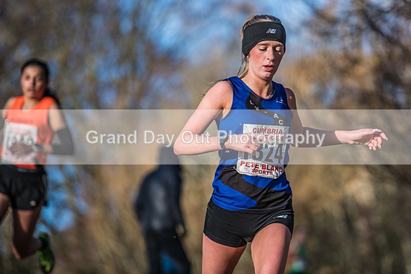 Cumbria XC-630 - Cumbria Cross Country Championships (Junior & Senior Races) Saturday 3rd January 2026