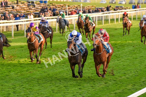 131023-Race 7-Thunder Roar-0137 - Race 7 5.35pm Visit Irish Bloodstock Sales With ITM Apprentice Handicap