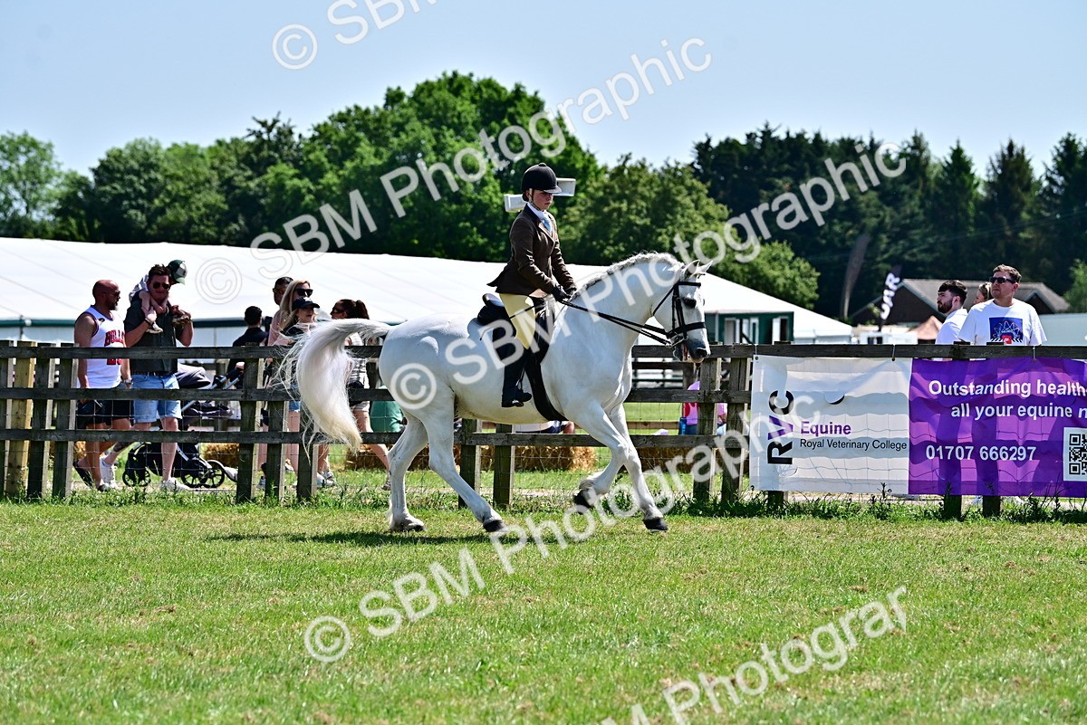 SBM_15347 - Class 95-97 - BSPS LHS Performance Ponies