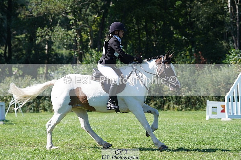 240811A-162310-06275 - 411-