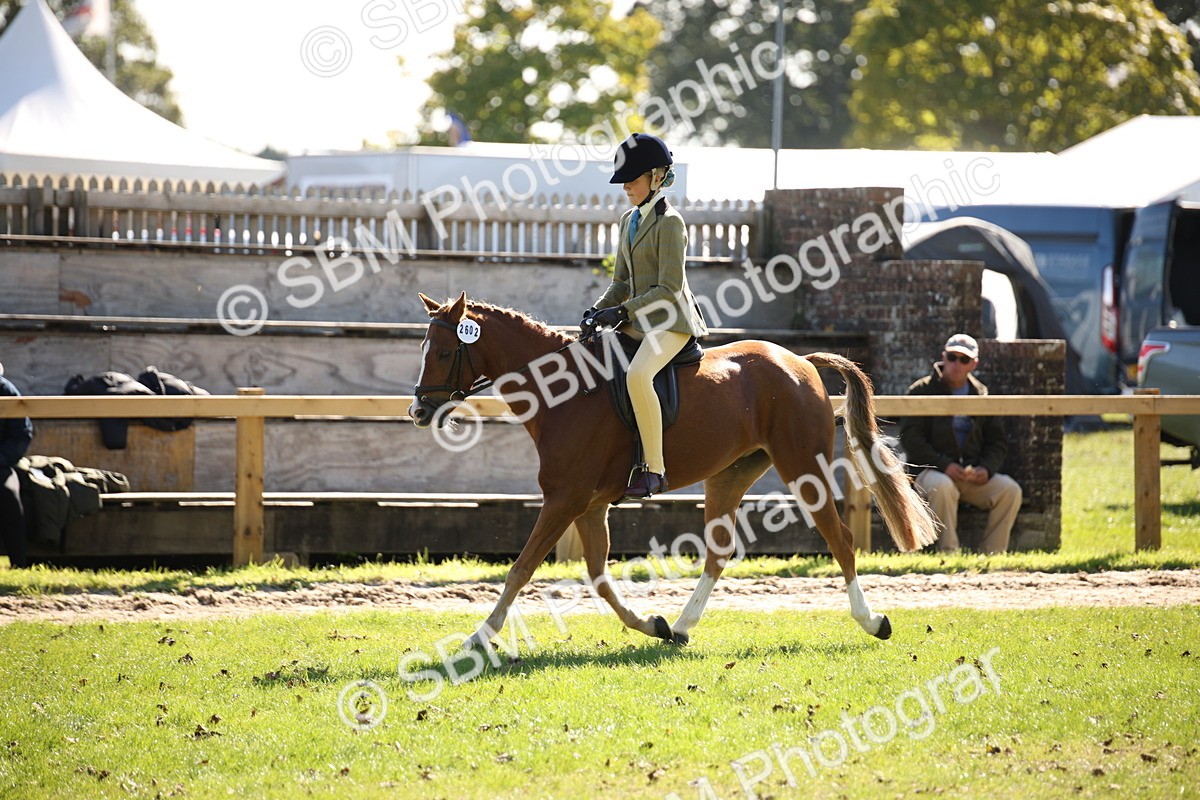 SBM_39031 - S11 - Best Ridden Horse & Pony
