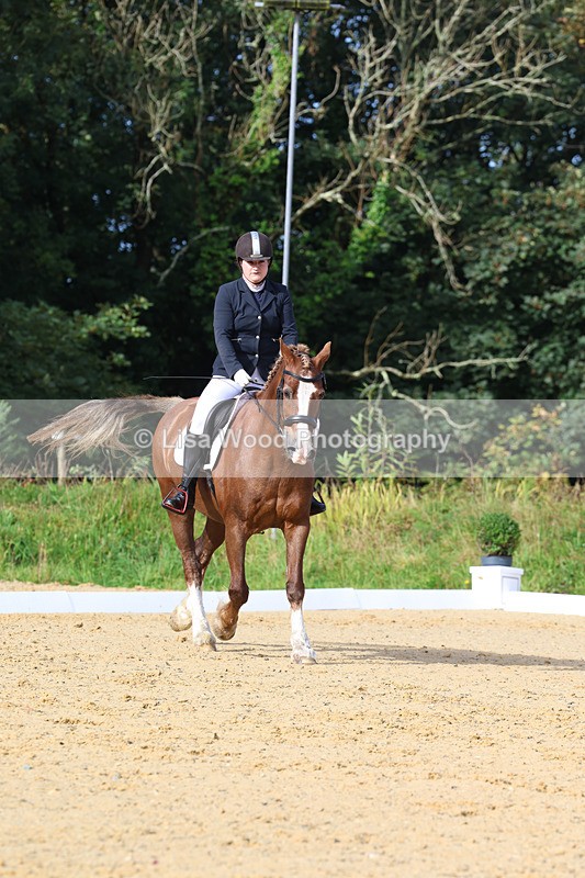 3E7A2270 - Class 1: Intro 4 2024 section A