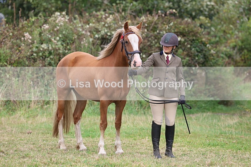 3E7A4916 - Class 16: Best Grass Kept