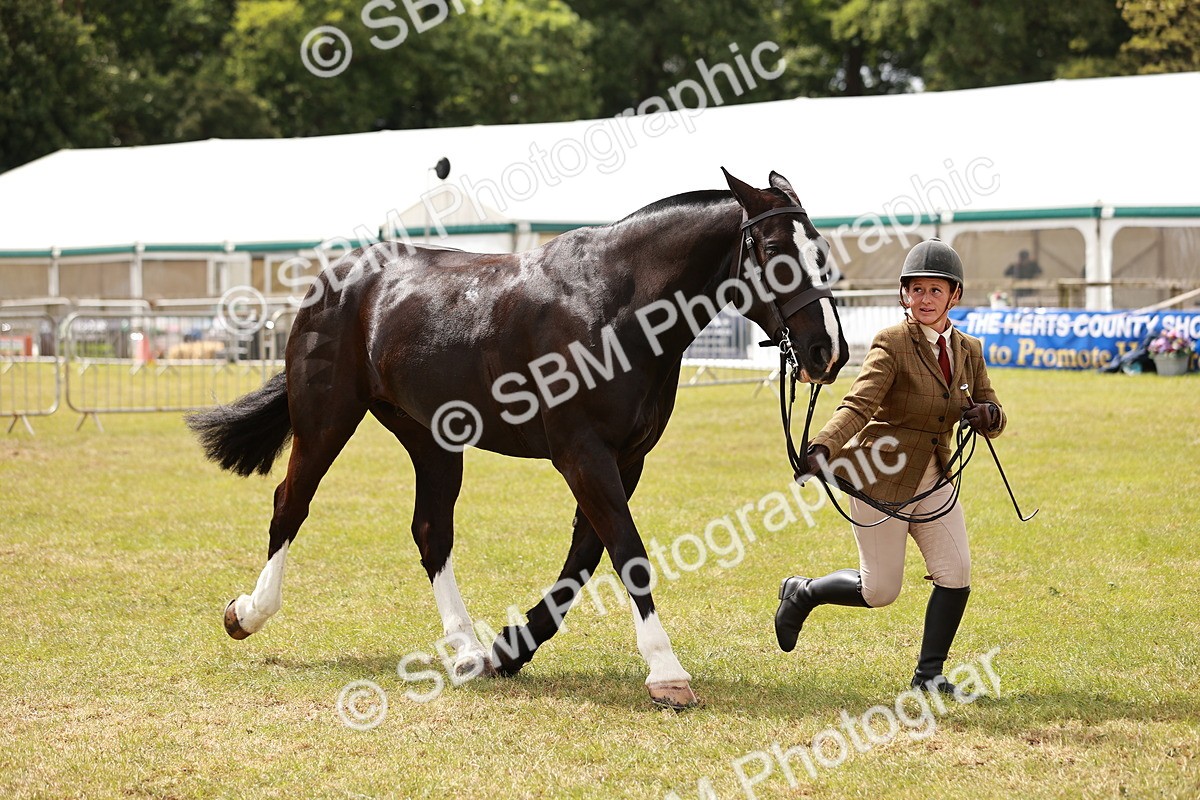 SBM_14065 - Class 85-87 - RIHS Cobs