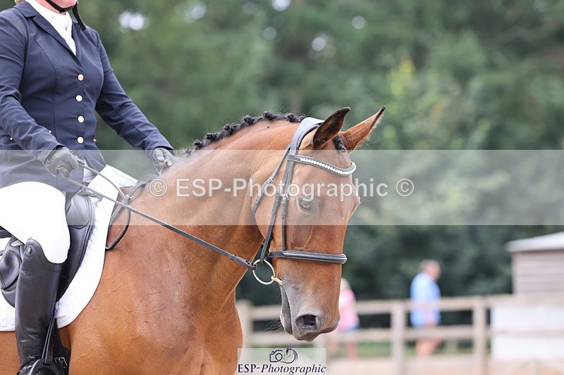 250718A-115038-00976 - 033-Sacha.Hughes-Dawntreader.II