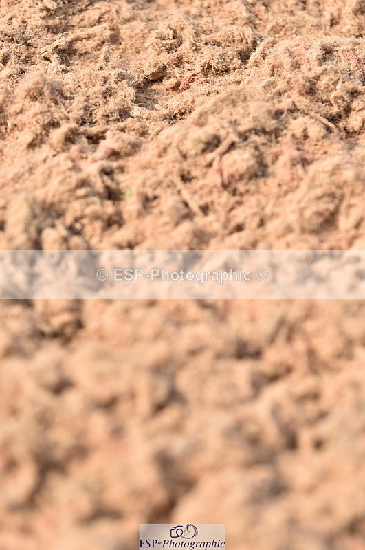 230610A-094245-02584 - Cls 21 British Novice & Open