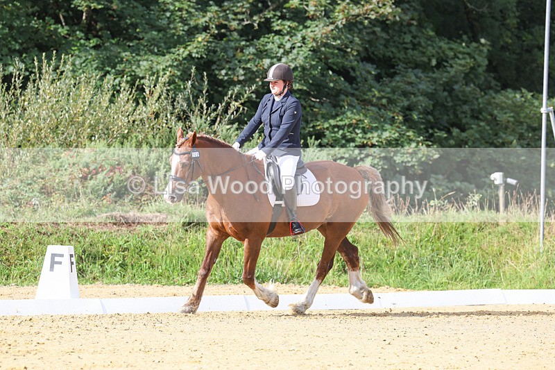 3E7A2247 - Class 1: Intro 4 2024 section A